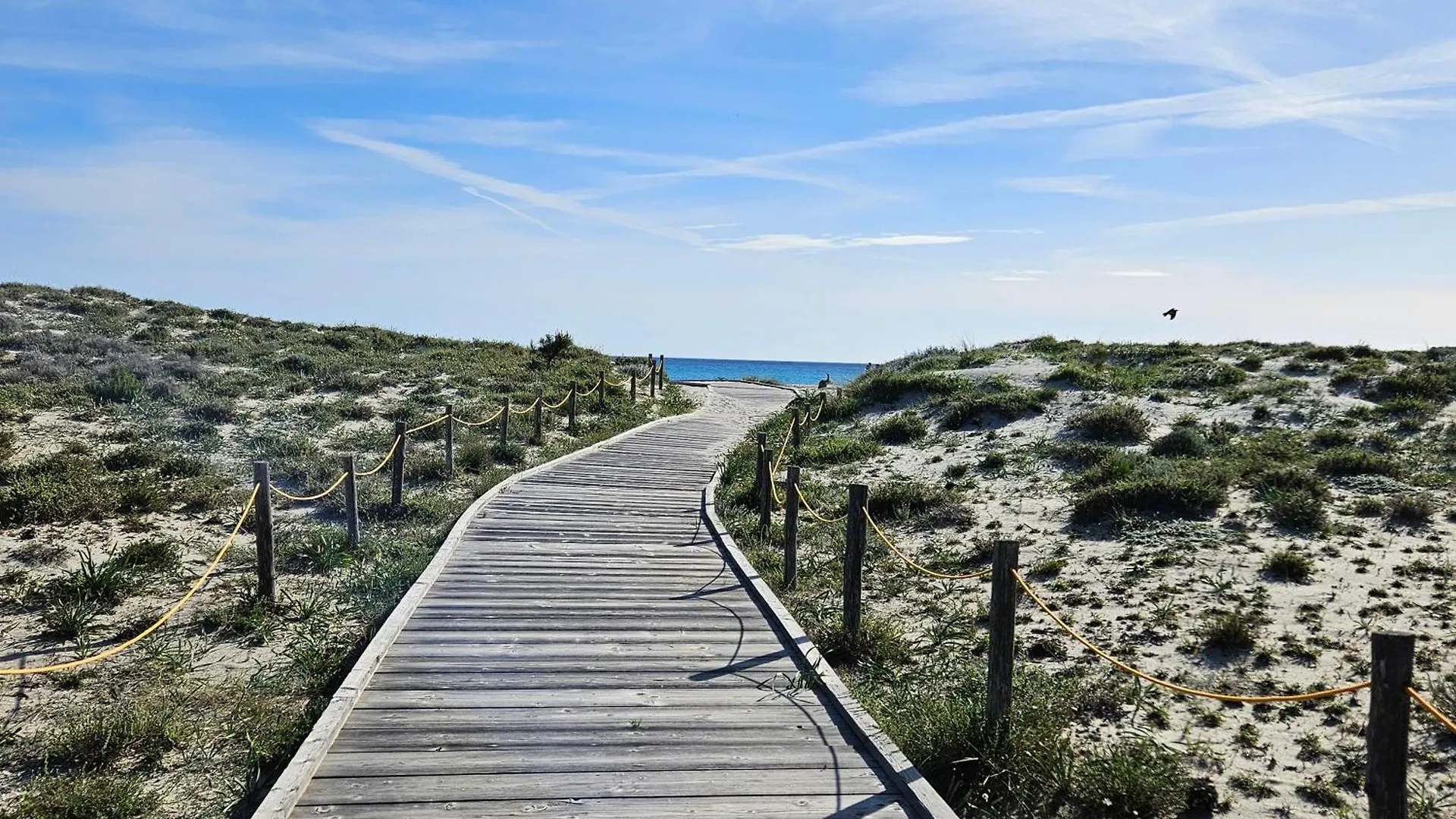 La Flabellina Blu Διαμέρισμα Porto Ottiolu