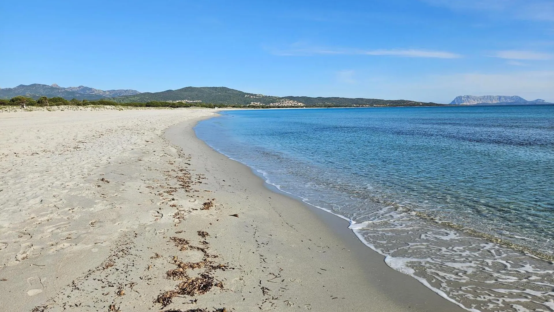 La Flabellina Blu Διαμέρισμα Porto Ottiolu Ιταλία